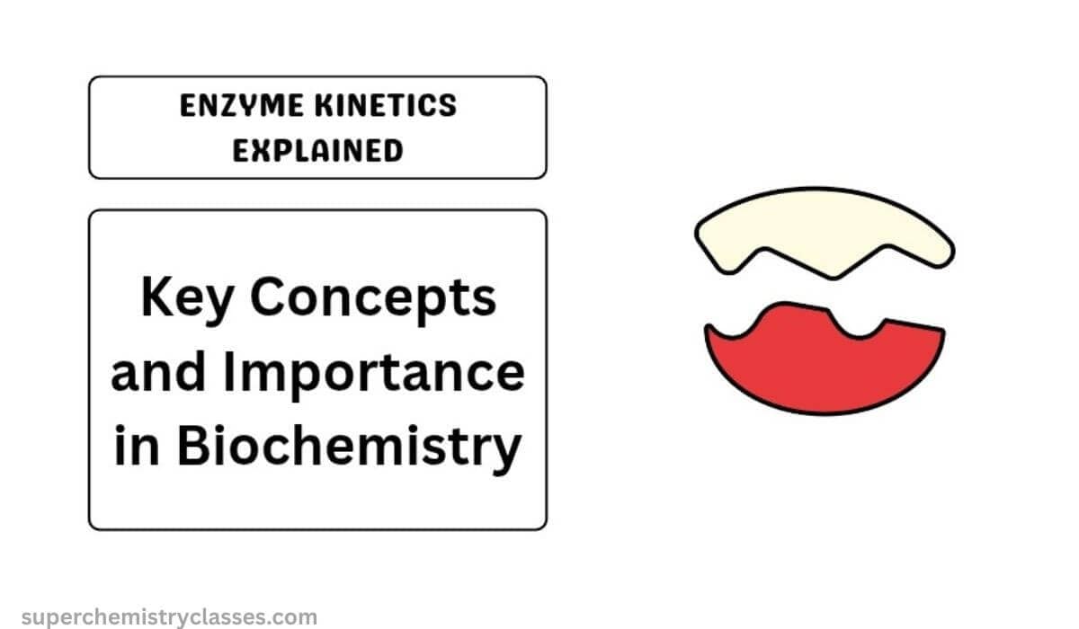 Enzyme Kinetics