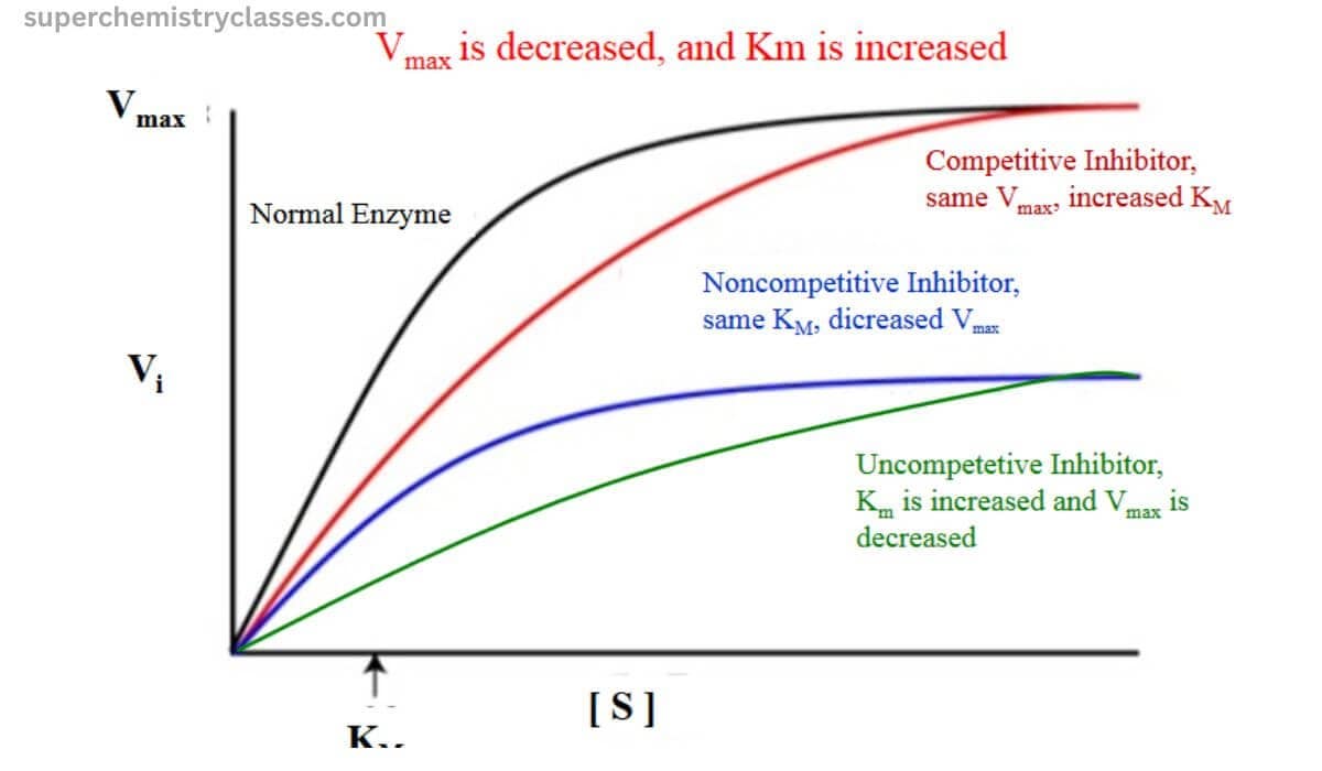 Vmax in enzyme kinetics