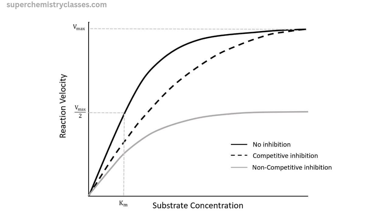 enzyme kinetics formula