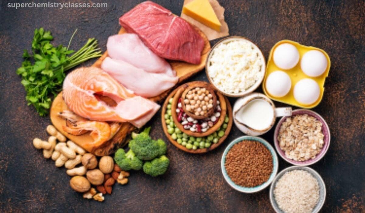 What are proteins
