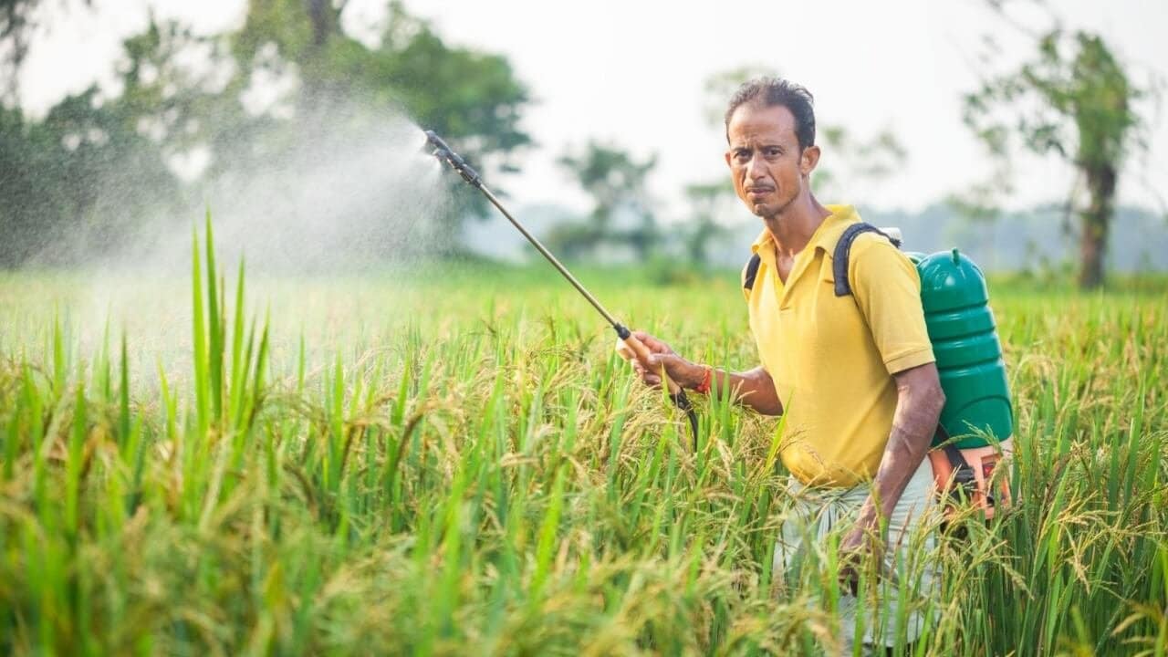 Persistent Organic Pollutants, POPs in environment, Stockholm Convention UPSC, bioaccumulation and biomagnification, DDT UPSC notes, environmental pollution UPSC, hazardous chemicals in environment, international environmental agreements UPSC, ecology for UPSC prelims, UPSC environment PYQ analysis, Persistent Organic Pollutants UPSC,