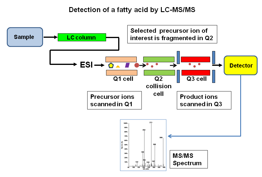 Tandem Mass Spectrometry